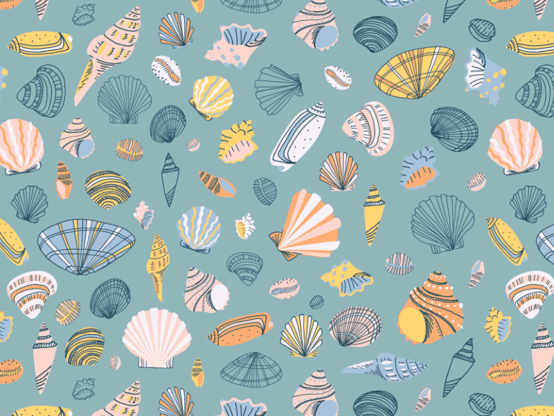 Baja Shells 2d baja gif illustration mexico ocean pattern repeat pattern sea sea shells shells