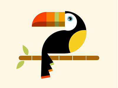 Toucan animal bird illustration toucan vector