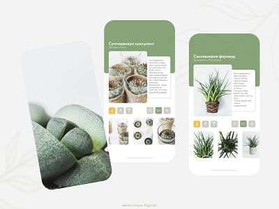 Flower shop - Product card and photography branding card design figma green instagram instagram stories photography photos product product card smm social media story ui