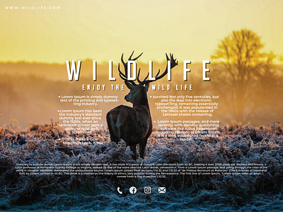 Wild Life Banner
