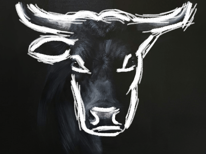 Bull Animated GIF