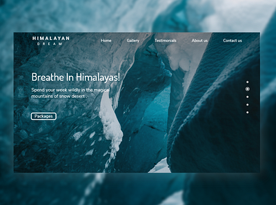 Travel website dribbble travel agency trekking ui ux website