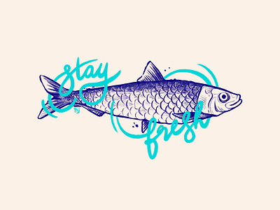 Stay Fresh design drawing fish fresh illustration