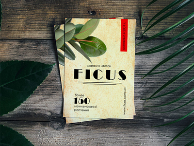 A5 flyer format for the Ficus flower shop a5 design ficus flower flyer graphic polygraphy shop
