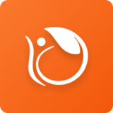 Designloom 