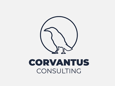 Logo Concept for Corvantus consulting brand brand design brand identity branding business design graphic design graphic designer identity identity design logo logo concept logo design logo designer logos