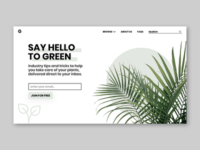 'Say Hello to Green' adobe xd clean landing page landing page design minimal mockup modern pastel plants ui uidesign web design webdesign webflow website white space