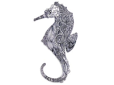 Calligraphic Illustration calligraphy handmadepen illustraion sea horse