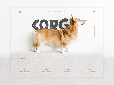 Corgi Promotion Site