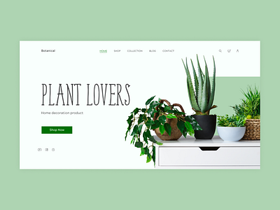 E-commerce Web Design Plant lovers design ecommerce design plant ui ux web веб дизайн дизайн