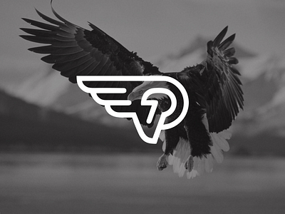 Instituto Posso Voar | Can Fly Institute branding design eagle identidade visual logo design social entrepreneurship