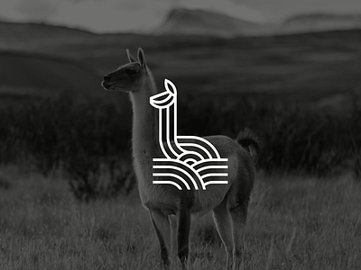 Wanako Winery chilean guanaco logo design logotype visual identity wine winery