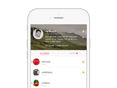 Crew Profile clean ios iphone 6 minimal mobile ui ux