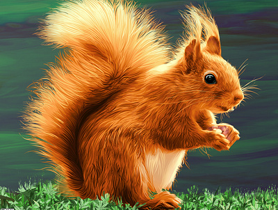 Squirrel painting a.taymour abdelrahman taymour animals art artwork drawing drawings illustration taymour vector art vector illustration