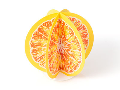 Colored Paper Box Stuffer fold french fruit lemondrop magenta orange paper white yellow