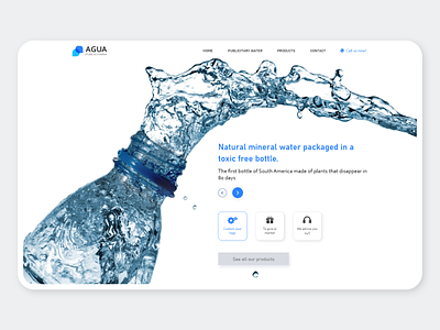 Publicitary Water Web Design design desktop flat minimal ui web