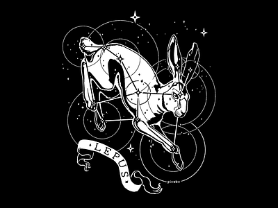 Inktober Day 8 - Star art bunny cintiq constellation digital illustration inktober inktober2018 lepus rabbit space stars witchy