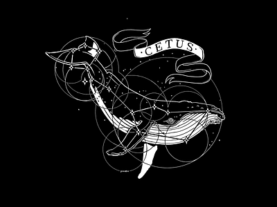Inktober Day 12 - Whale art cetus cintiq constellation digital illustration inktober inktober2018 whale witchy