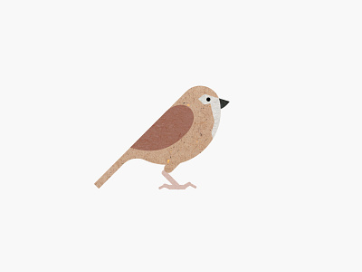 bird da word 2d illustration design illustrator texture