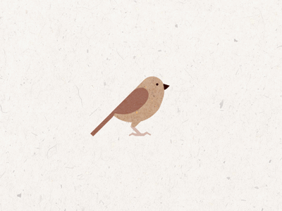 lil birdy 2d animation design flat gif illustrator motion design motion graphics texture