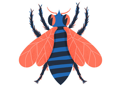 Buzz Buzz bee blue buzz fly insect rad red