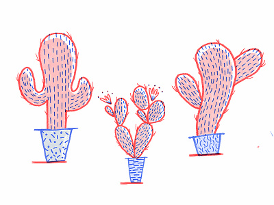 Cacti Study