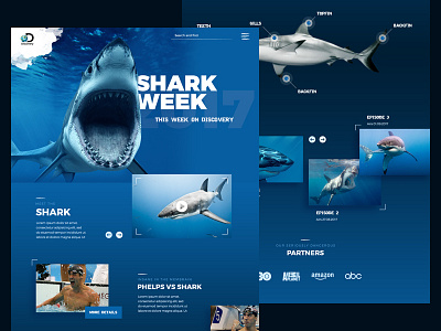 Shark week! animal clean exploration ocean shark teeth webdesign website week