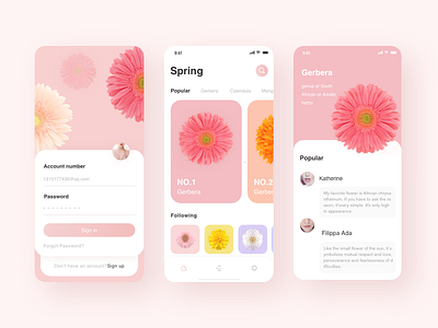 Gerbera app design ui ux