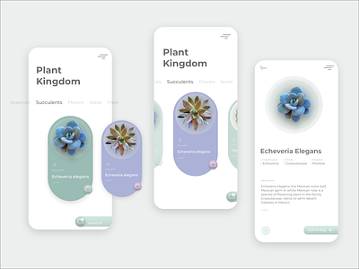 Daily UI challenge Day 12: E-Commerce page 012 daily 100 challenge daily ui dailyui day12 design ecommerce illustration plants ui ui design ux