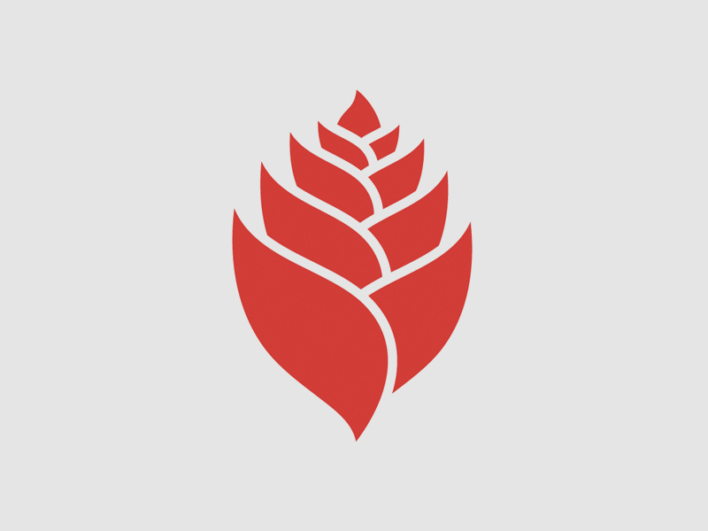 Ginger logo flower ginger icon mark grey red orange design illustration organic identity