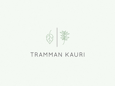 tramman kauri branding design illustration leaf logo