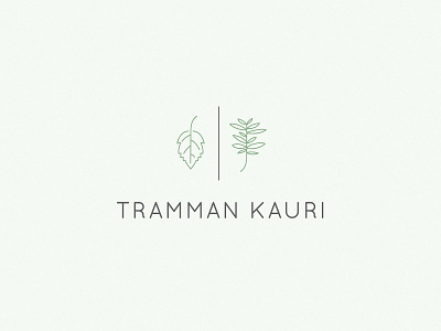 tramman kauri