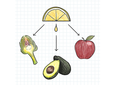 oh god, i just remembered lemonparty apple artichoke avocado drawing food hack illustration infographic lemon lemon juice tasting table tip