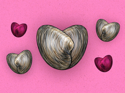 a story of love, romance, and...clams clams drawing food hearts illustration love seafood tasting table valentine valentines day