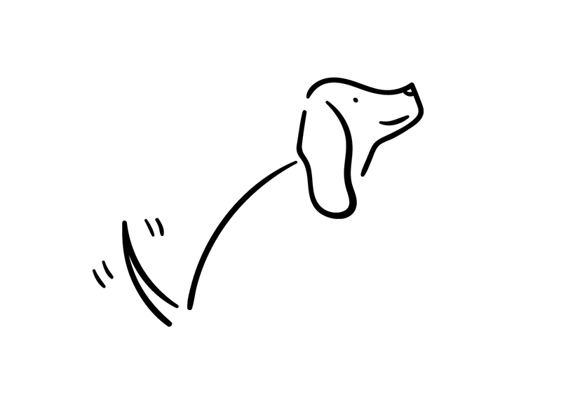 sometimes i get paid to draw dogs. animal animation dog drawing gif illustration illustrator pet puppy sketch spaniel tail