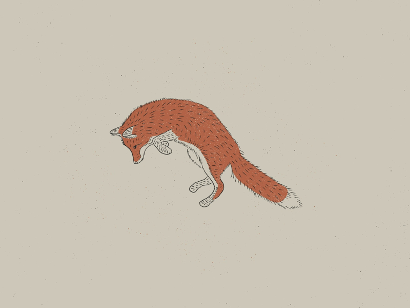 Leaping Fox Illustration comfort colors neutral colors earth earth tones fox graphic design graphic fox illustration illustration jump leap leaping fox