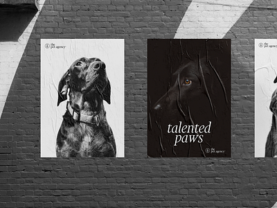 The Pet Agency Poster Ads ads branding design logo poster typography