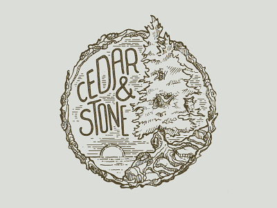 Cedar and Stone cedar illustration nature northshore stone trees