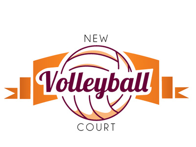 Volleyball court logo