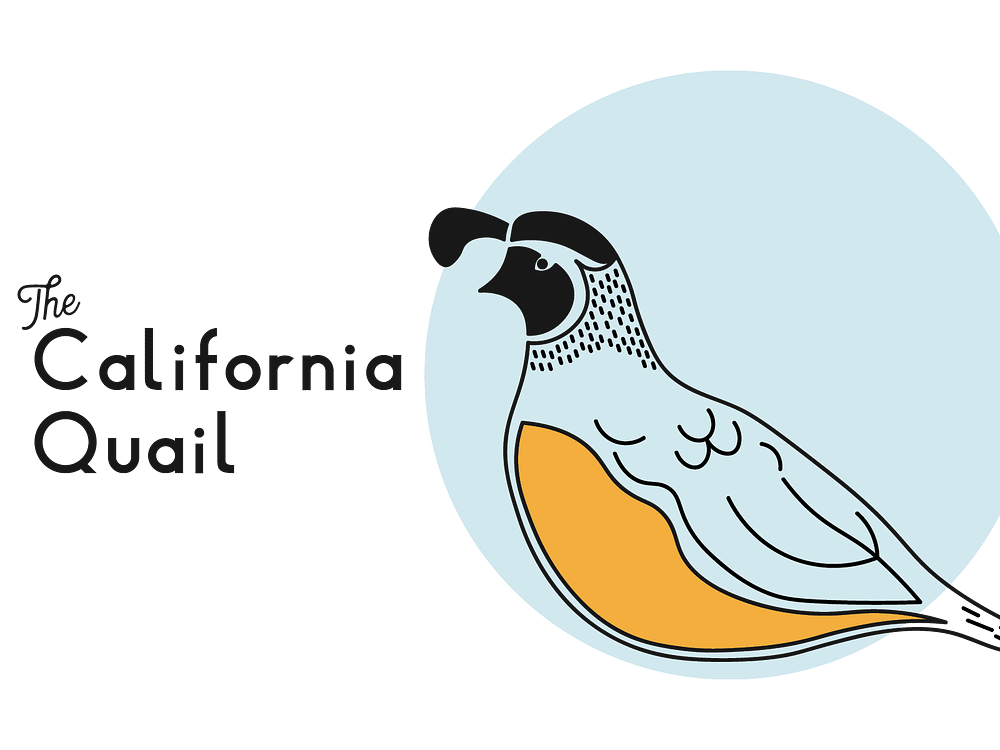 State Birds designs, themes, templates and downloadable graphic