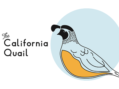 California Quail art california california quail design flat illustration illustrator lettering minimal simple state birds typography vector