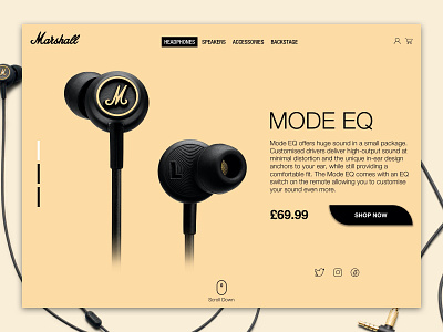 Marshalls designs, themes, templates and downloadable graphic elements on  Dribbble