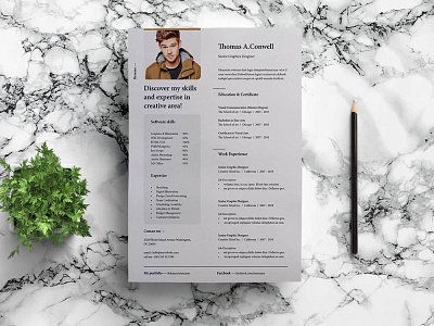 Free Professional Modern Resume Template