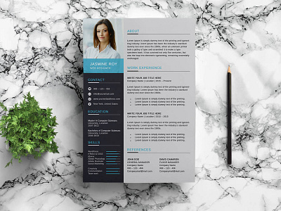 Free Clean Fresh Resume Template