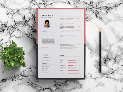 Free Sketch Resume Template