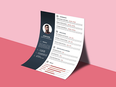 Professional Resume Design cv design resume