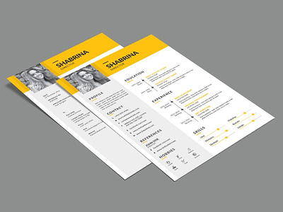 Free Director Resume Template