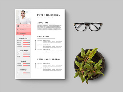 Free Clean Illustrator Resume Template branding clean curriculum vitae cv cv template design elegant free free cv template free resume template freebie freebies minimal resume