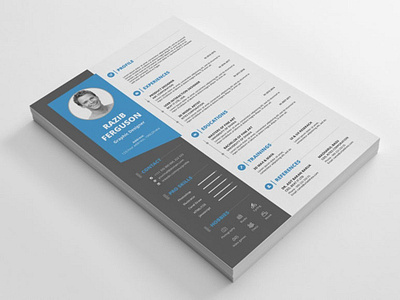 Free Resume Design Template curriculum vitae cv cv template design free free cv template free resume template freebie freebies resume