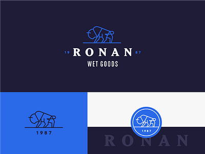 Ronan Wet Goods branding flat geometric logo minimal type